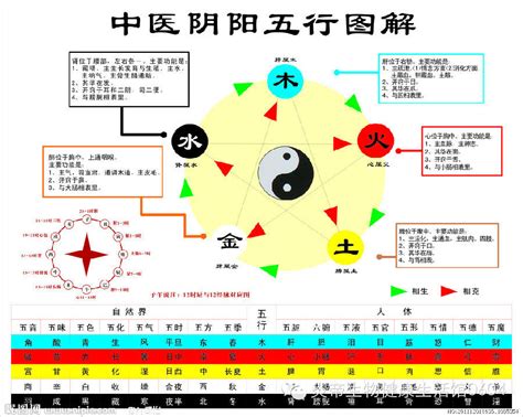 金木水火土相生相剋|五行相生相剋:五行,四季五行,相生相剋,概念對應,五行。